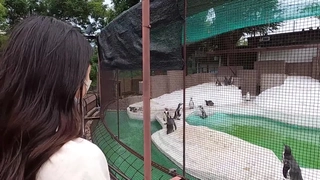美女的性爱第一夜